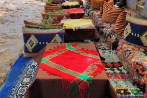 Marrakech : Ourika Valley, Waterfalls with Lunch & Guide