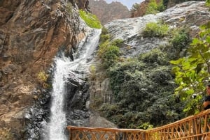 Marrakech : Ourika Valley, Waterfalls with Lunch & Guide