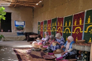 Marrakech : Ourika Valley, Waterfalls with Lunch & Guide
