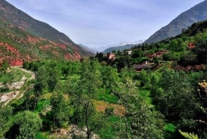 Marrakech: ourika valley lunch & guided hike to waterfalls