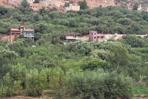 Marrakech: Ourika Valley Private Day Trip with Lunch