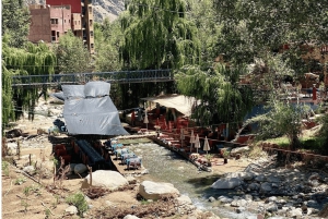 Marrakech: Ourika Valley Private Day Trip with Lunch