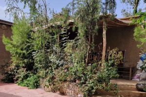 マラケシュオウリカ渓谷プライベート日帰りツアー（昼食付