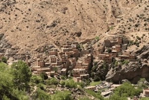 Marrakech : cascades d'Ourika, montagnes de l'Atlas, guide + déjeuner