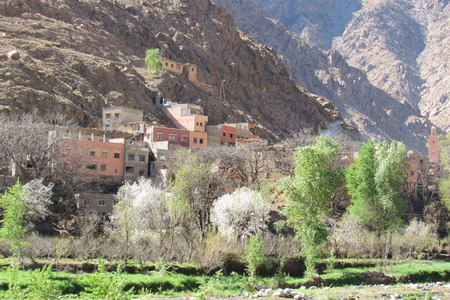 Marrakech: Ourika-dalen og rundtur fra Marrakech og vandfald