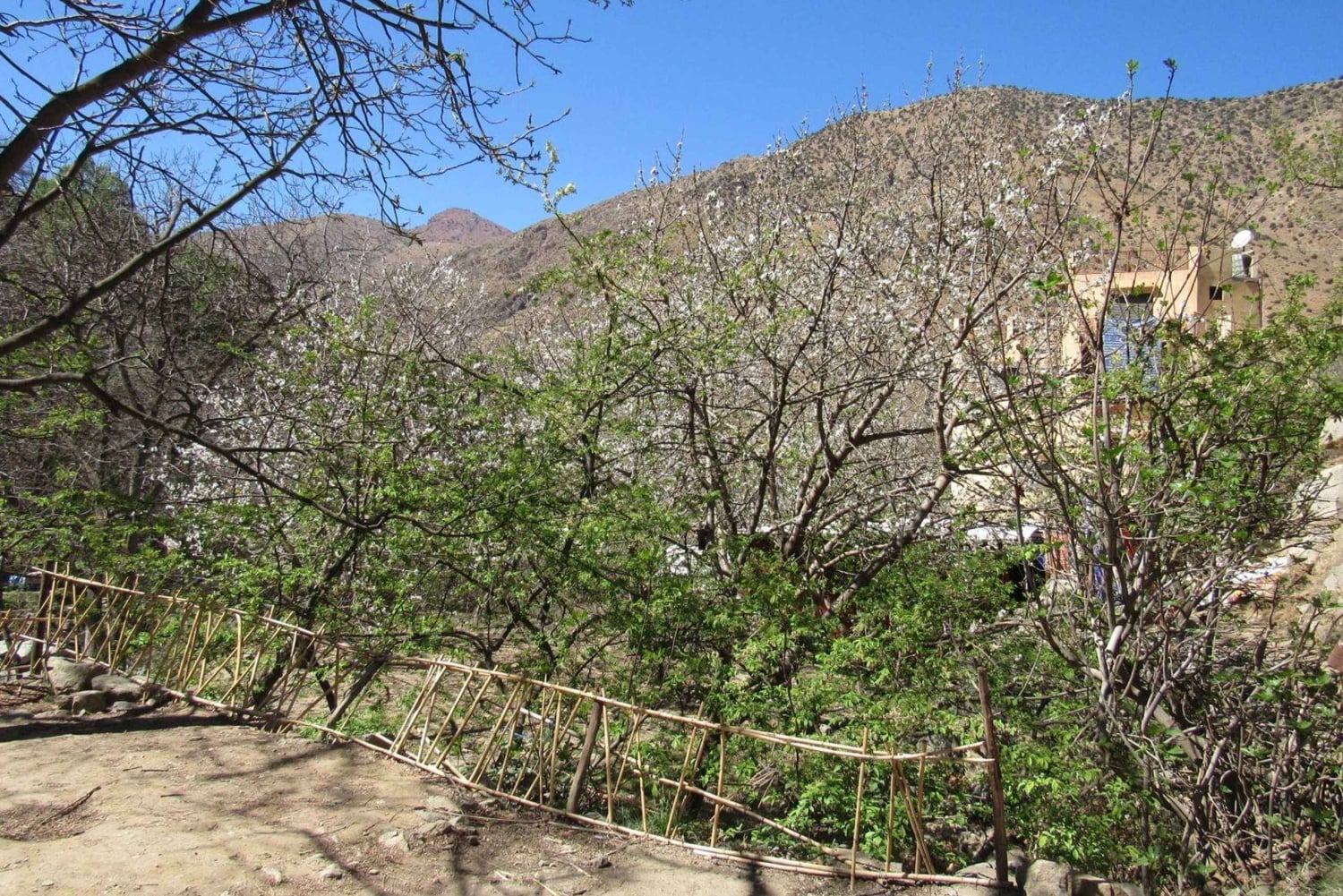 Marrakech: Ourika-dalen og rundtur fra Marrakech og vandfald