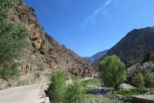 Marrakech: Ourika-dalen og rundtur fra Marrakech og vandfald