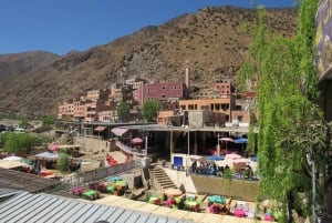 Marrakech: Ourika-dalen og rundtur fra Marrakech og vandfald
