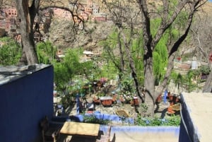 Marrakech: Ourika-dalen og rundtur fra Marrakech og vandfald