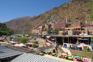 Marrakech: Ourika-dalen og rundtur fra Marrakech og vandfald