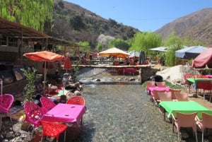 Marrakech: Ourika-dalen og rundtur fra Marrakech og vandfald