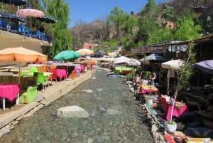 Marrakech: Ourika-dalen og rundtur fra Marrakech og vandfald