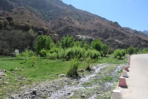 Marrakech: Ourika-dalen og rundtur fra Marrakech og vandfald