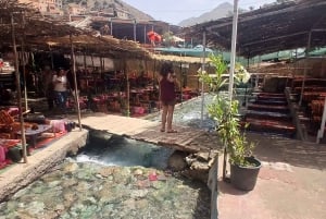 Marrakech: Ourika-dalen og rundtur fra Marrakech og vandfald