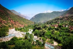 Marrakech: ruta de senderismo, cascadas y almuerzo en el valle del Ourika