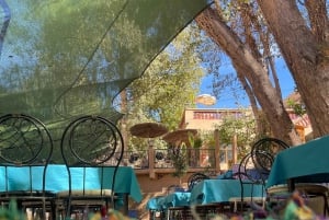 Marrakech: ruta de senderismo, cascadas y almuerzo en el valle del Ourika