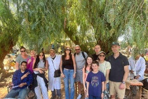 Marrakech: ruta de senderismo, cascadas y almuerzo en el valle del Ourika