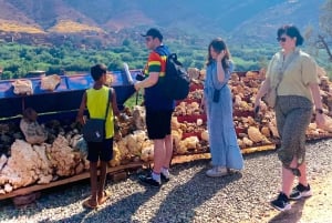 Marrakech: ruta de senderismo, cascadas y almuerzo en el valle del Ourika