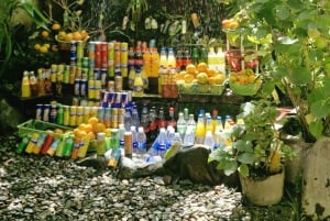 Marrakech: ruta de senderismo, cascadas y almuerzo en el valle del Ourika