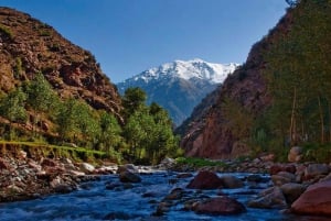 Marrakech: ruta de senderismo, cascadas y almuerzo en el valle del Ourika