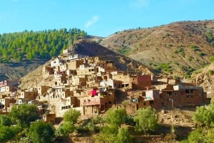 Marrakech: ruta de senderismo, cascadas y almuerzo en el valle del Ourika