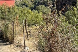 Marrakech: ruta de senderismo, cascadas y almuerzo en el valle del Ourika