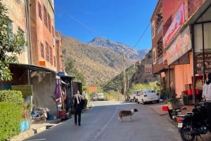 Marrakech: ruta de senderismo, cascadas y almuerzo en el valle del Ourika