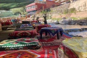 Marrakech: ruta de senderismo, cascadas y almuerzo en el valle del Ourika