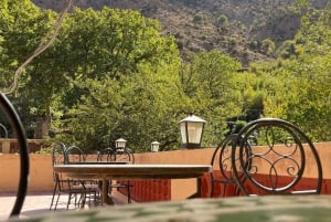 Marrakech: ruta de senderismo, cascadas y almuerzo en el valle del Ourika