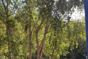 Marrakech: ruta de senderismo, cascadas y almuerzo en el valle del Ourika