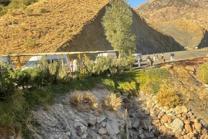 Marrakech : randonnée dans la vallée de l'Ourika, cascades et déjeuner