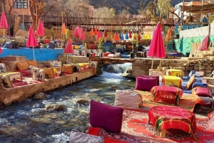 Marrakech: Ourika Valley Trip with Waterfalls Hike & Lunch