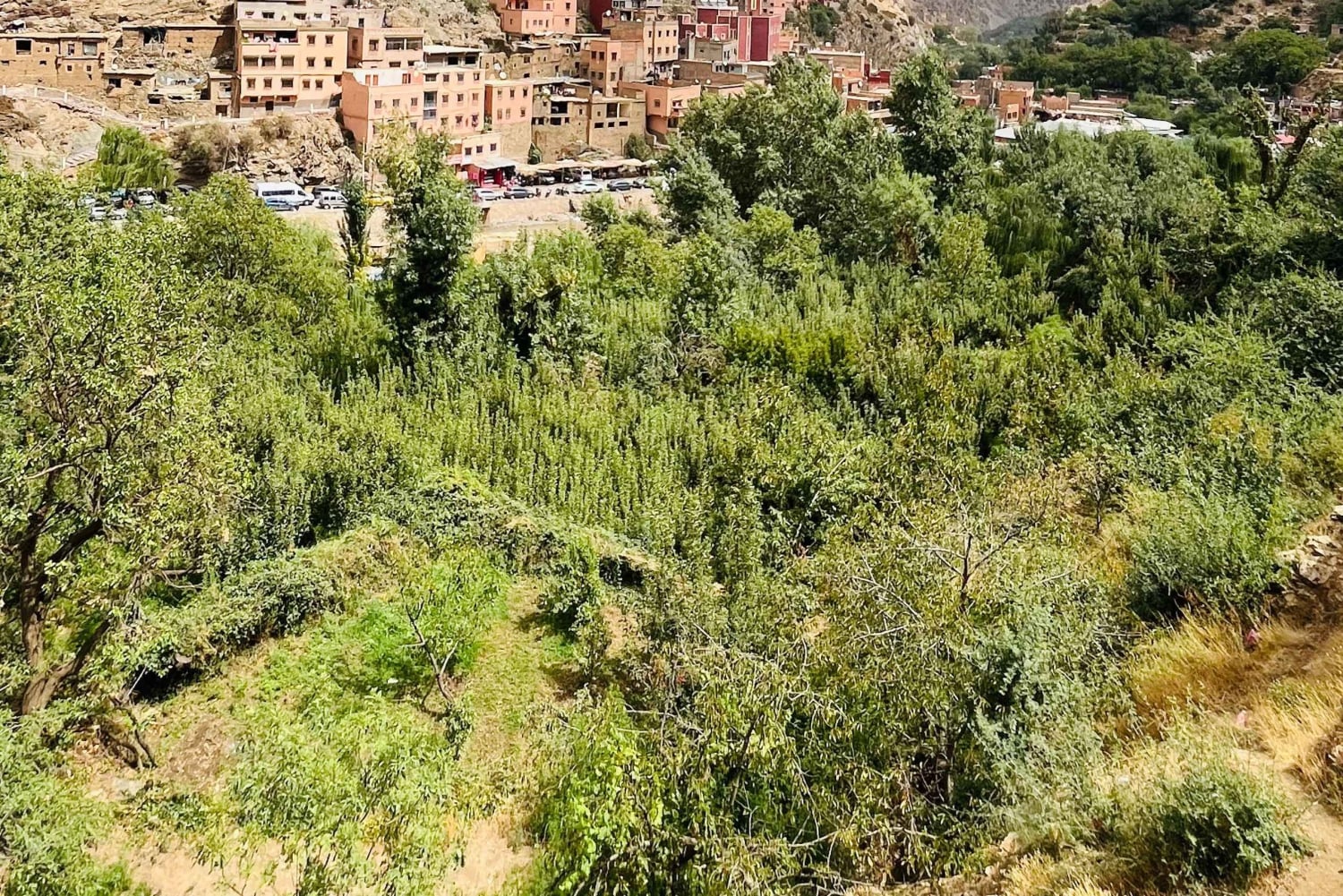 マラケシュ発：ウリカ渓谷の滝観光＆ランチ付きガイド付きハイキング