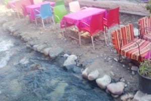 Marrakech: Ourika-vallei Waterval & lunch en begeleide wandeling