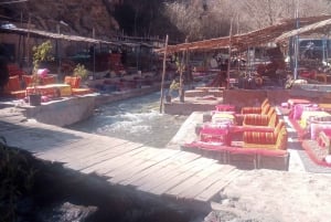 Marrakech: Ourika-vallei Waterval & lunch en begeleide wandeling