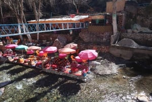 マラケシュ発：ウリカ渓谷の滝観光＆ランチ付きガイド付きハイキング