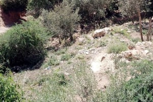 マラケシュ発：ウリカ渓谷の滝観光＆ランチ付きガイド付きハイキング