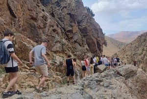 マラケシュ発：ウリカ渓谷の滝観光＆ランチ付きガイド付きハイキング