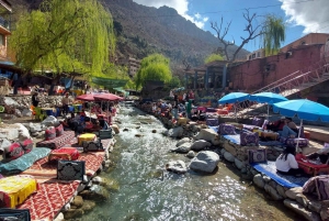 Marrakech Ourikan laakson vesiputous & lounas