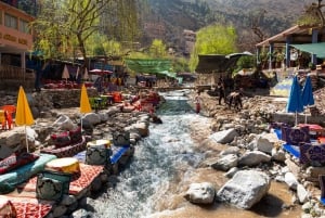 Marrakech: Atlas Mountains, Ourika Valley, Waterfall & Lunch