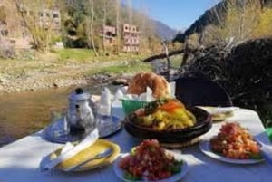 Marrakech: Atlas Mountains, Ourika Valley, Waterfall & Lunch
