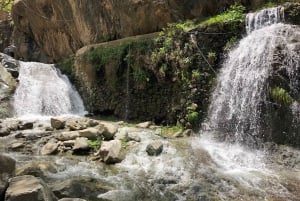 Marrakech: Atlas Mountains, Ourika Valley, Waterfall & Lunch