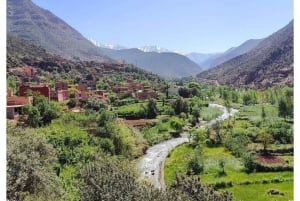 Marrakech: Atlas Mountains, Ourika Valley, Waterfall & Lunch