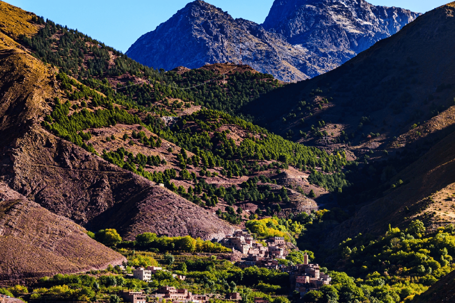 Marrakech: Ourika Valley,Waterfalls, Atlas & Guide & Lunch