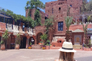 Marrakech: Ourika Valley,Waterfalls, Atlas & Guide & Lunch