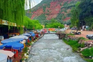 Marrakech: Ourika Valley,Waterfalls, Atlas & Guide & Lunch