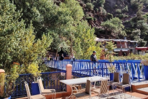 Marrakech: Ourika Valley,Waterfalls, Atlas & Guide & Lunch