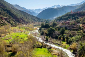 Marrakech: Ourika Valley,Waterfalls, Atlas & Guide & Lunch