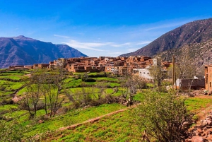 Marrakech: Ourika Valley,Waterfalls, Atlas & Guide & Lunch