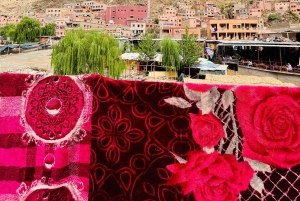 Marrakech: cascate della valle dell'Ourika ed escursione guidata